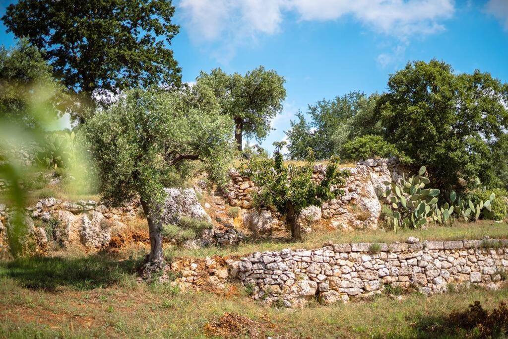 Вилла Trullo Caelum Альберобелло Экстерьер фото